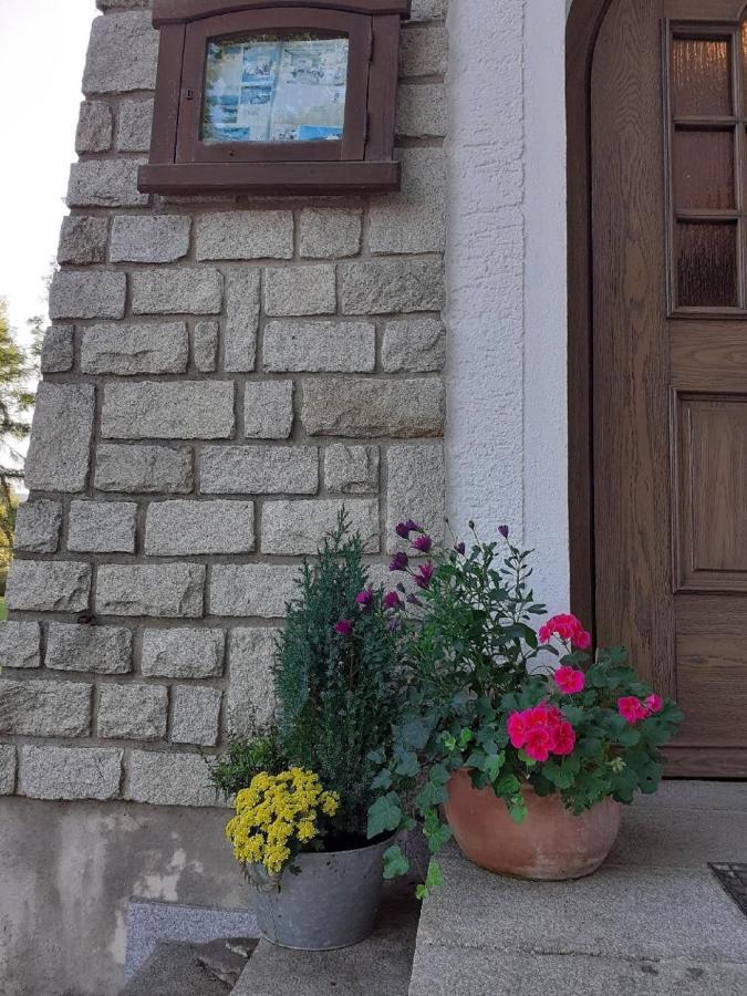 Pension & Fewos Fuchs Mauth Dış mekan fotoğraf